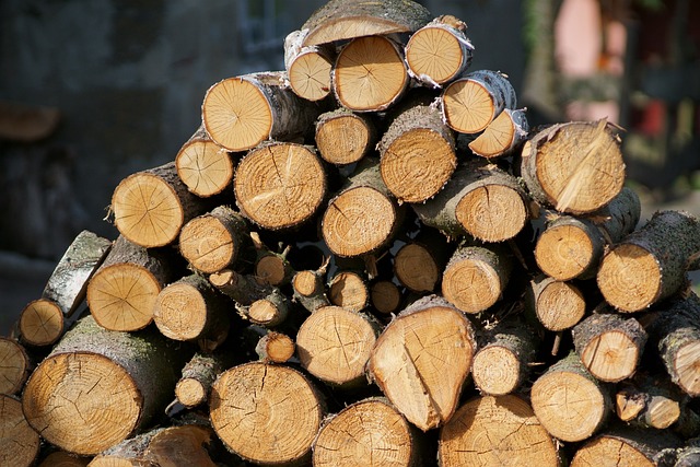 Blokhøvlen som genbrugshelt: Opdag de mange muligheder for at genbruge og forvandle gamle træmaterialer